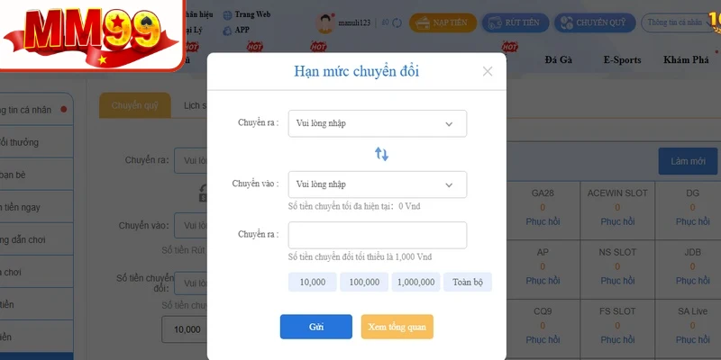 Một số lưu ý quan trọng khi thực hiện rút tiền MM99
